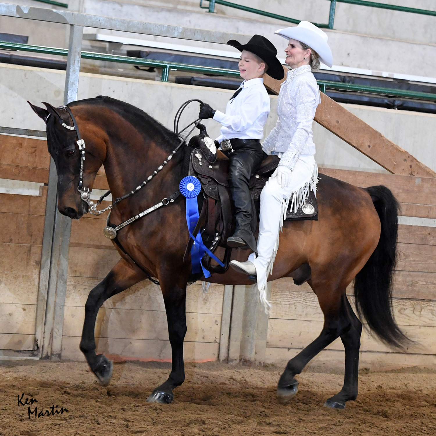 Michigan All Horse Show Proofs 2023 Proofs www