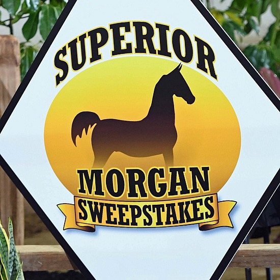 Superior Sweepstakes and Sale