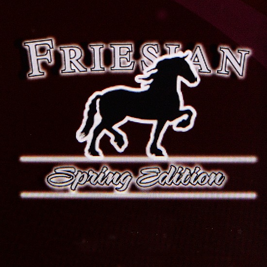Friesian Spring Sale